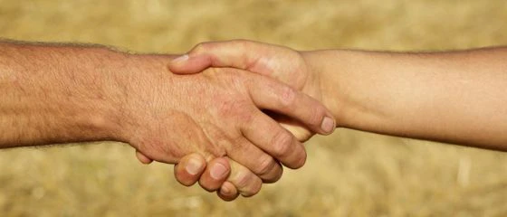 salvana-leistungen-beratung-rationsberechnung-futtermittelanalytik-lieferung