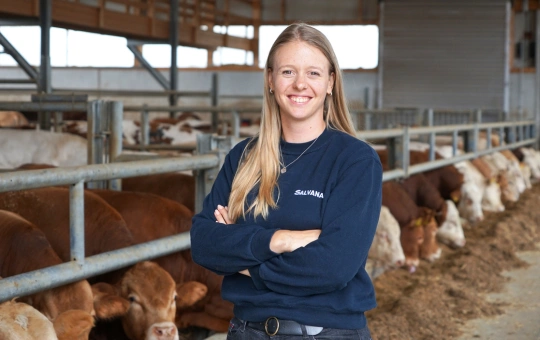 stellenangebot-vertriebsmitarbeiter-aussendienst-salvana-jobs-rind-schwein
