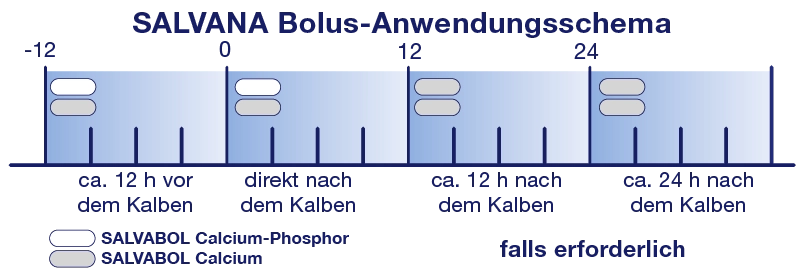 Anwendungsschema Boli