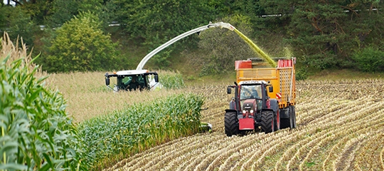 maissilage in der produktion, haecksler, trecker, siliermittel